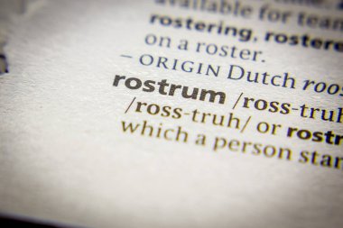 Sözcük veya cümle Rostrum ve sözlükteki tanımı