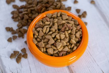 Turuncu bir kasede kurutulmuş hayvan maması..