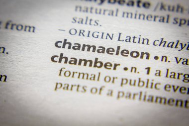 Chamaeleon sözlüğü ve sözlükteki tanımı