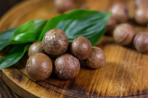 Frische Und Reife Macadamiya Nüsse Auf Dem Holzbrett — Stockfoto