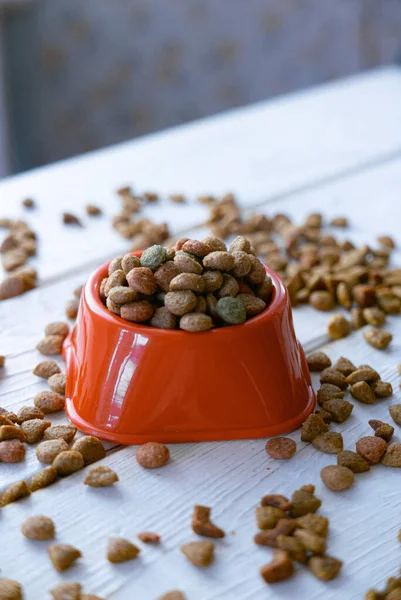 Alimentos Para Mascotas Secos Frescos Naturales Tazón Plástico Naranja — Foto de Stock