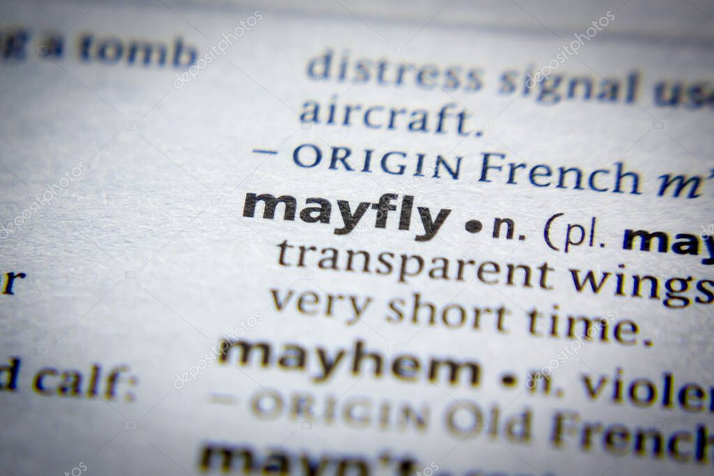 Word or phrase Mayfly and its definition in dictionary