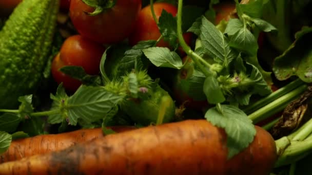 Detailní Záběry Různých Zralých Zeleniny — Stock video