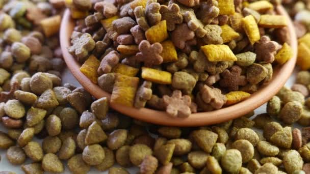 Close Footage Dried Pet Food — Stock Video