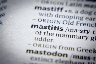 Sözcük ya da deyim Mastitis ve sözlükteki tanımı