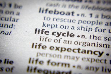 Sözlükteki yaşam döngüsü