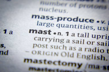 Sözlükte sözcük ya da cümle Direği