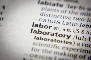 Sözlükte İşgücü sözcüğü ya da ifadesi