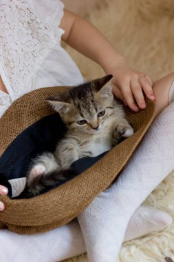 Sevimli küçük kız, şapkalı bir kediyle oynuyor.