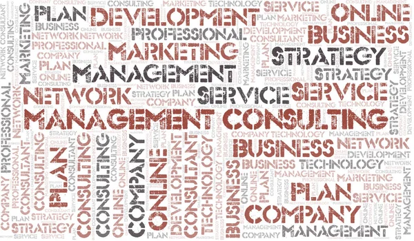 Management Consulting typography  word cloud. Wordcloud collage made with the text only.