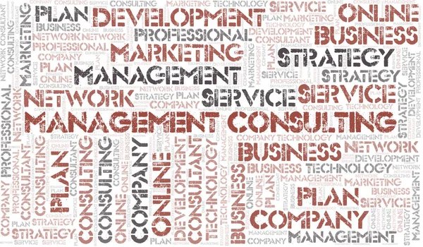 Management Consulting Typografie Wort Wolke Wordcloud Collage Nur Mit Dem — Stockfoto