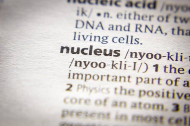 Sözlükte Nucleus sözcüğü veya ifadesi