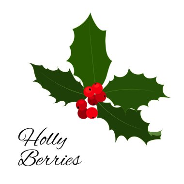 Noel holly Karpuzu simgesi. Vektör çizim