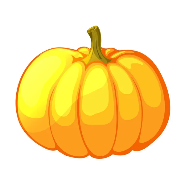 Vector pumpkin isolated on white background. Cartoon style illustration — Stock Vector