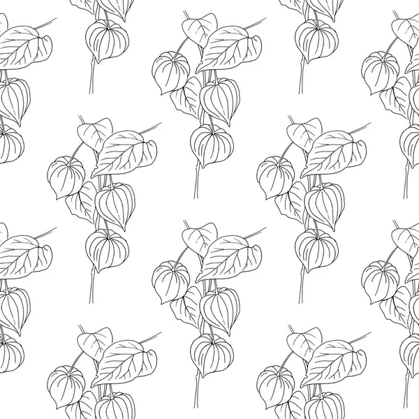 Ilustración vectorial de Physalis aislada sobre fondo blanco. Patrón sin costuras. Textura del diseño del ornamento floral para el papel, té del paquete, cosmético, papel pintado, textil, producto ecológico natural — Archivo Imágenes Vectoriales