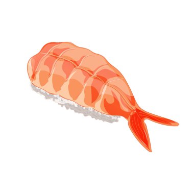 Vektör çizim. Karidesli Ebi suşi. Beyaz arka plan üzerinde izole