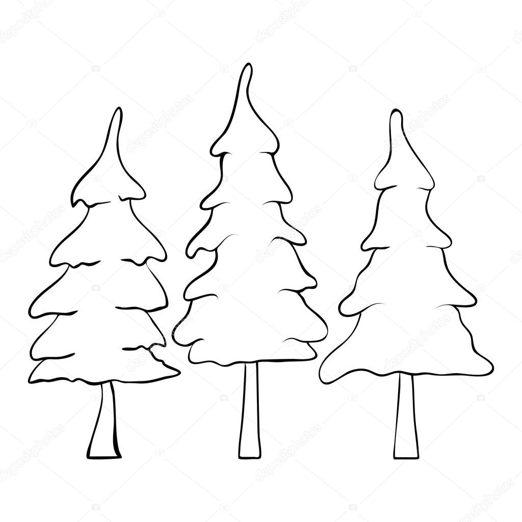 Spruce icon design. Vector illustration