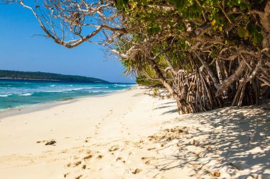 East Timor white sand beaches clipart