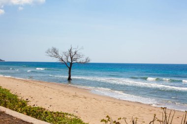 Doğu Timor kıyı şeridi