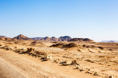 Olay yerinden çölün, Mısır 2012