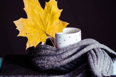 sonbahar yaprakları, çay