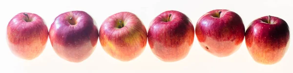 白色背景上的红苹果 免版税图库图片
