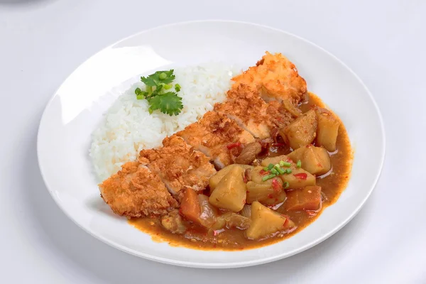 Arroz de jazmín con pescados fritos en curry amarillo japonés . — Foto de Stock