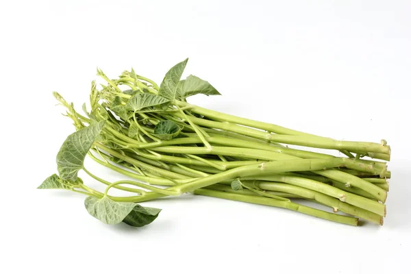 Vegetal, gloria de la mañana china aislada sobre fondo blanco . — Foto de Stock