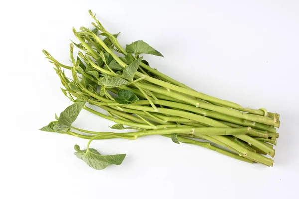 Vegetal, gloria de la mañana china aislada sobre fondo blanco . — Foto de Stock