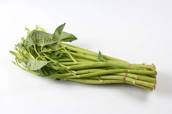 Vegetal, gloria de la mañana china aislada sobre fondo blanco . — Foto de Stock