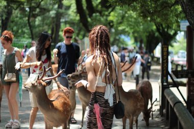 Turistler geyik ile çerezleri üzerinde yan zevk.