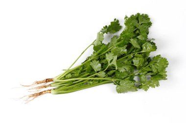 Beyaz arka plan üzerinde izole kök ile kişniş yaprakları.