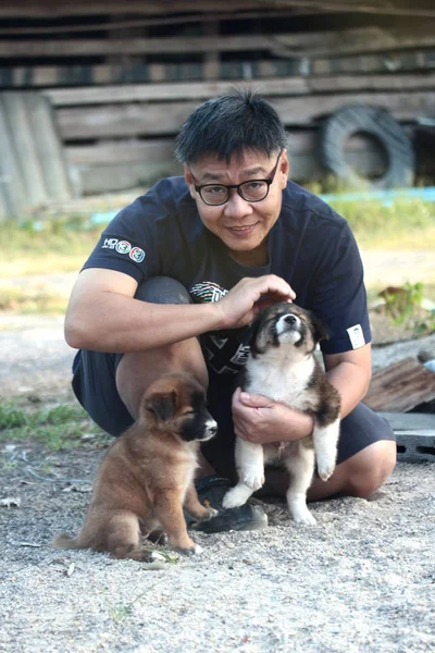 Felicità uomo godere con giovani cuccioli all'aperto in campagna fie — Foto Stock