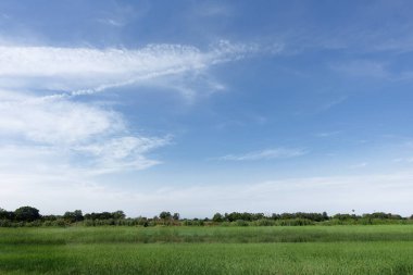 Güzel gökyüzü ve bulutlar kırpma alanı ile.
