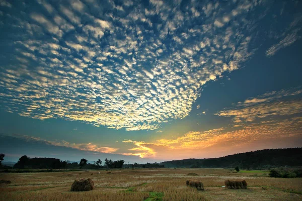 Céu bonito e nuvens com campo de cultivo . — Fotografia de Stock