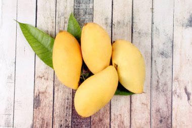 Olgun altın Mango yaprak ile .