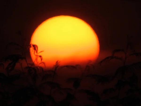 Gyönyörű naplemente, a háttérben burry — Stock Fotó