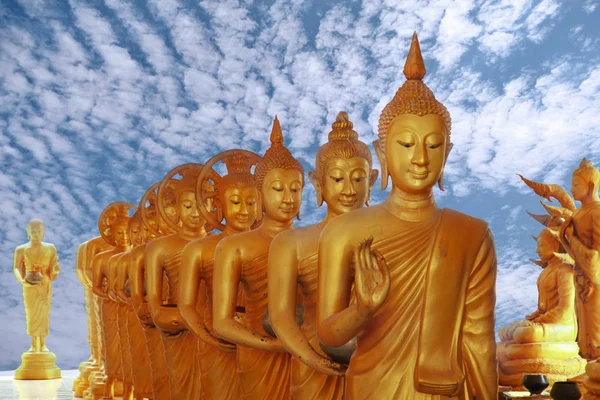 Imagens grandes bonitas do buddha estar andando às fileiras bacia afilada — Fotografia de Stock