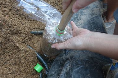 Infected mantar çanta için oluk içine lathed ahşap basın kullanarak