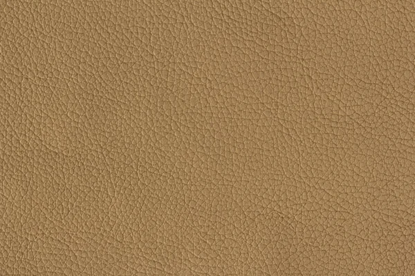 Solucan kahverengi deri doku arka plan olarak kullanılan
