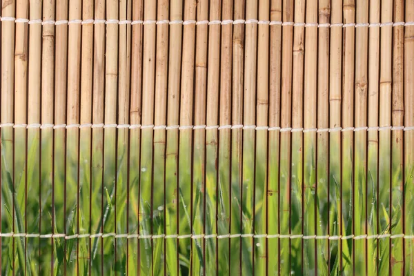 Japon tarzı kurutulmuş bambu saplarını deseninin bağlı. — Stok fotoğraf