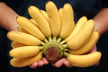 Yumurta-muz veya Pisang mas ünlü meyvedir Tayland.