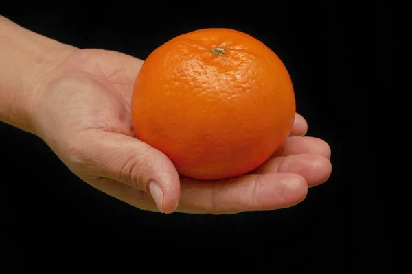 Mandarin-Honey Murcott oranges placed on hand to celebrate for C — Stock Photo, Image