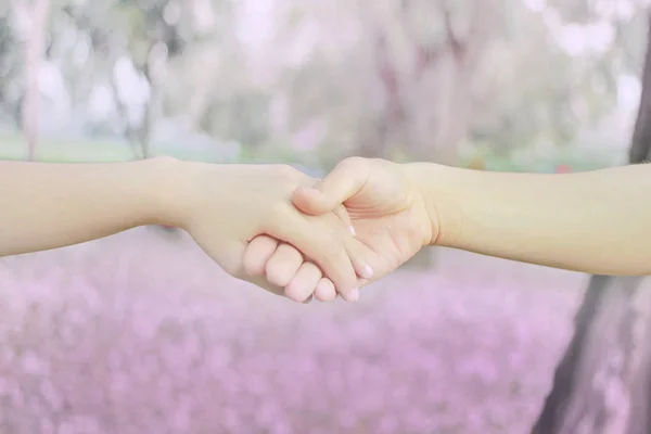 Parejas cogidas de la mano en forma de corazón en el parque de flores rosa con t — Foto de Stock