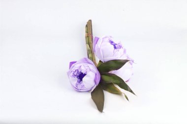 Beyaz lotus için yalvarıyor Budist 