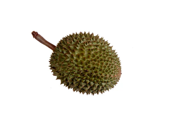 Bereit reife puangmanee durian ist isoliert auf weißem Hintergrund. — Stockfoto