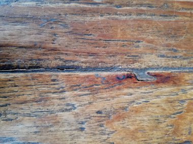 Kabuk arka plan ağaç doku, ahşap arka plan doku