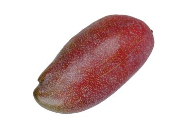 Popüler meyvesi, olgun gece kırmızı izole Palmer Mango