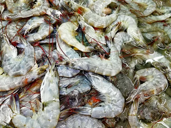 Langostino Fresco Grande Con Hielo Mercado —  Fotos de Stock