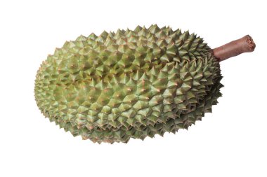 Durian 'ın popüler Tayland' ı Büyük olgun Chanee Durian, Tayland 'ın en lezzetli Duriran' ı 